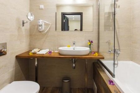 Люкс 2-местный (Джуниор Сьют)